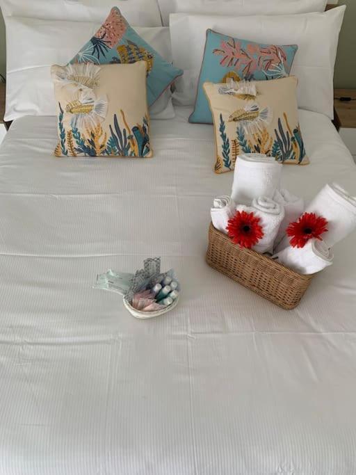 Casa - Torre Dell'Orologio Apartment คาโนซา ดิ พูเจลีย ภายนอก รูปภาพ
